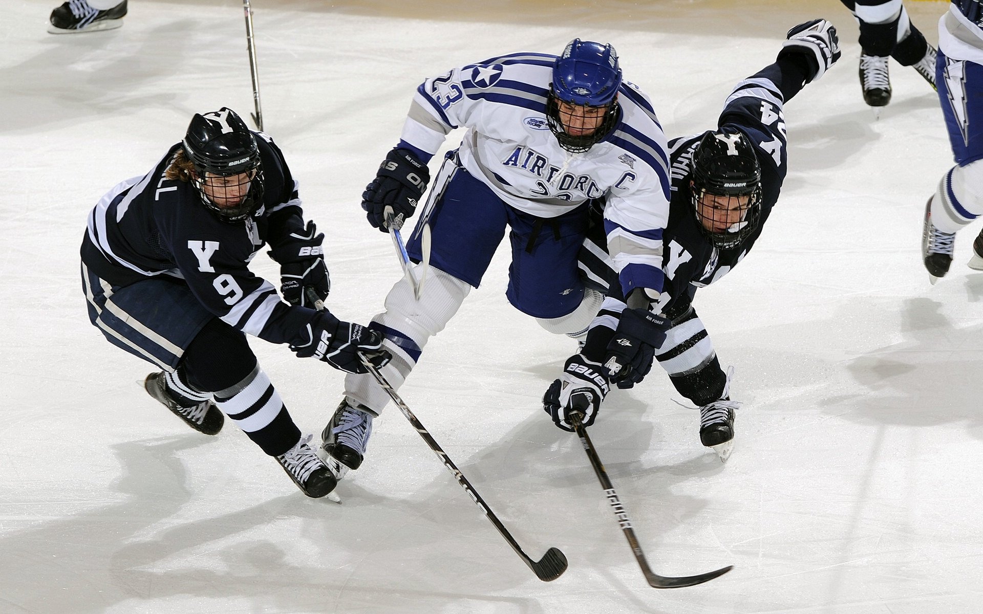 开云体育登录-_青年运动员展现风采，打造未来体育明星_，青年体育健将
